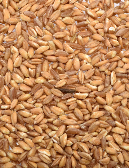 Whole Grain Farro